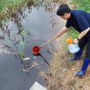 나주청과 이미지