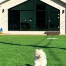 뭉개뭉개인강릉 이미지