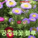 공주과일