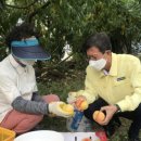 KMG(거명) 이미지