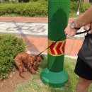 다원 동물병원 이미지