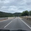 좋은사람들 모아모아주식회사 | 청도반려문화학교 원더랜드에서 시그널케어, 러피월드와 함께 한 반려견 힐링 바자회 행사에 다녀왔어요!