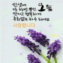 "'서울둘레길 3코스' 일부(길동4거리~천호역~광진교~광나루역) 산책"＜2023.03.16(목)＞ 이미지