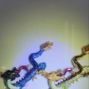 생활용품할인전문점 블루영 이미지