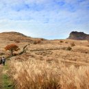 대기농촌체험마을 이미지