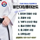 용인대윤태권도 이미지
