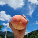 문유산농원
