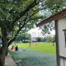 넓은마당캠핑장 | 넓은마당캠핑장 가족과 함께한 특별한 캠핑 경험