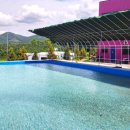 자연앤팜 이미지