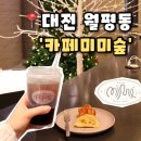 페스티발 | [카페미미숲] 대전 월평동 카페 정부청사 근처 브런치 맛집 추천, 카페 미미숲 후기(내돈내산)