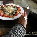 봄날cafe Daum카페
