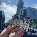 다짐 오류점 | 2025 서울어스마라톤 C조 후기 (광화문 - 여의도/10KM) | 충격적인 기록 오류 이게, 이게 뭐예요..?