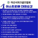 아스트로배전국대회 조편성 이미지