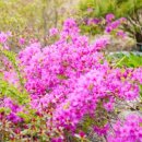 별빛하늘 펜션 이미지