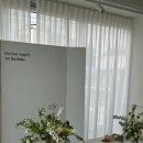 파주 돌잔치 장소 알아보다가 선택한 메종소이레 후기