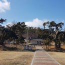 향나무로 이미지