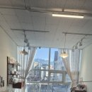 네일레브문 이미지