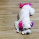 두리동물클리닉 이미지