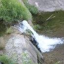 서곡주유소 이미지