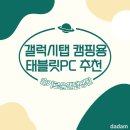 갤럭시탭 캠핑용 태블릿 추천 S9울트라 + 아웃도어 커버 사용 후기