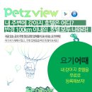 에르펫츠강아지분양고양이분양 | 강아지 CCTV는 펫츠뷰에서 안전하게~!