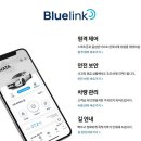 링크