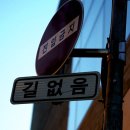 시선끌림