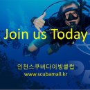 오픈워터 잠수풀 1장 기술 이미지