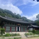 마음소풍 이미지