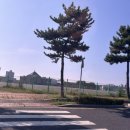 올레펜션 이미지