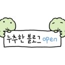 파충류샵 스마일게코 네이버블로그