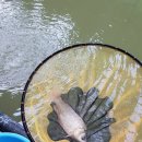 봉곡낚시터 이미지