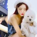 예송 이미지