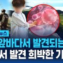 강화 앞바다서 남자아이 시신이 발견되다 이미지