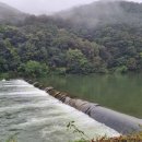 우리는 하느님께 우리 삶의 전체성 고통과 기쁨,실패,그리고 성공에 대해 감사드려야 한다.(연중제28주일25.10,12강론) 이미지