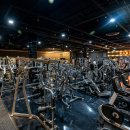 피그말리온짐 프리미엄 이미지