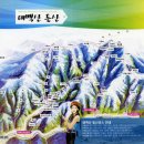 [6월축제/태백시] 제24회 태백산철쭉제 (09.06.05~07)