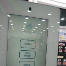 다비치안경 목원대앞점 네이버블로그