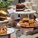 하츠(HAZ) 이미지