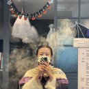 토리81 이미지