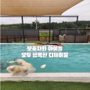 디제이 뭉 | [내돈내산] 하루 한 팀 독채!가평 디제이뭉 대형견 가능한 펜션