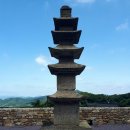 달마선원