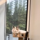 다옴헤어살롱 이미지