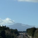 파리바게트 동림푸른마을점 | [11월 제주여행] 제주동쪽 가볼만한곳 송당 제주동화마을 (파리바게트,스타벅스,도토리숲)