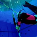 용운국제수영장 이미지