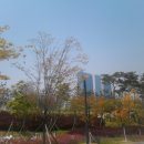 컴팩스마트시티 이미지