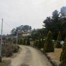 표선면-4 이미지