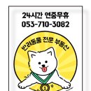 영대동물병원 네이버블로그