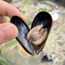 수락산역 맛집 추천 &#39;땡큐춘자 해물칼국수&#39; / 가성비 수락산 칼국수