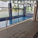 그린자동차써비스 | 제주 대가족 숙소 에코그린리조트 100평 풀빌라 솔직 후기